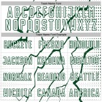 Custom Sublimation Soccer Jersey Lightning Sports Green White Uniform